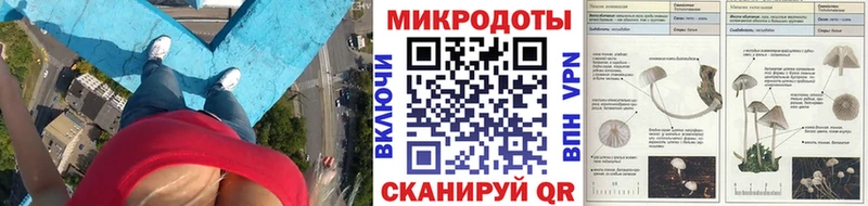 гидра зеркало  Вилючинск  Псилоцибиновые грибы мицелий  сколько стоит 